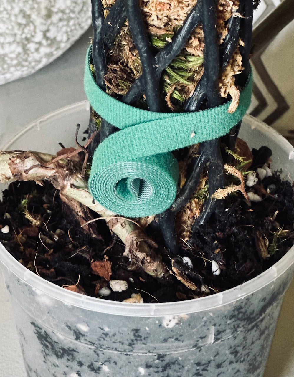 Velcro Plant Tape