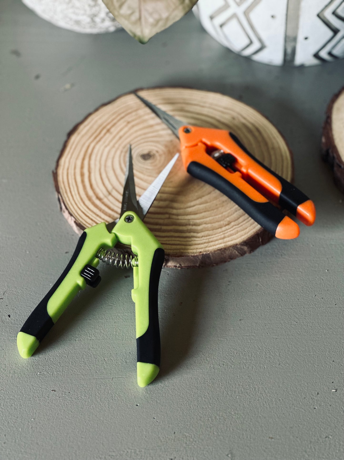 Pruning Shears