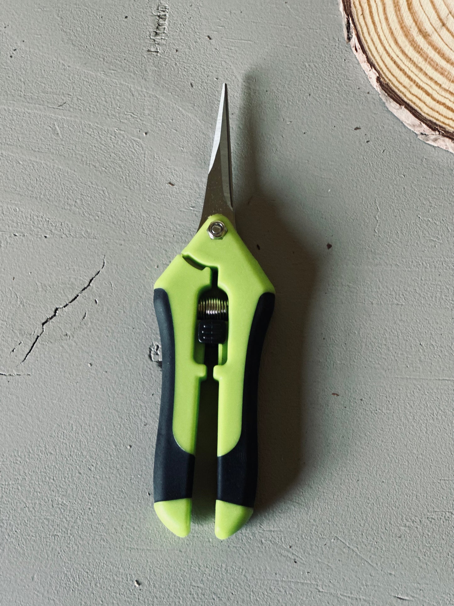 Pruning Shears