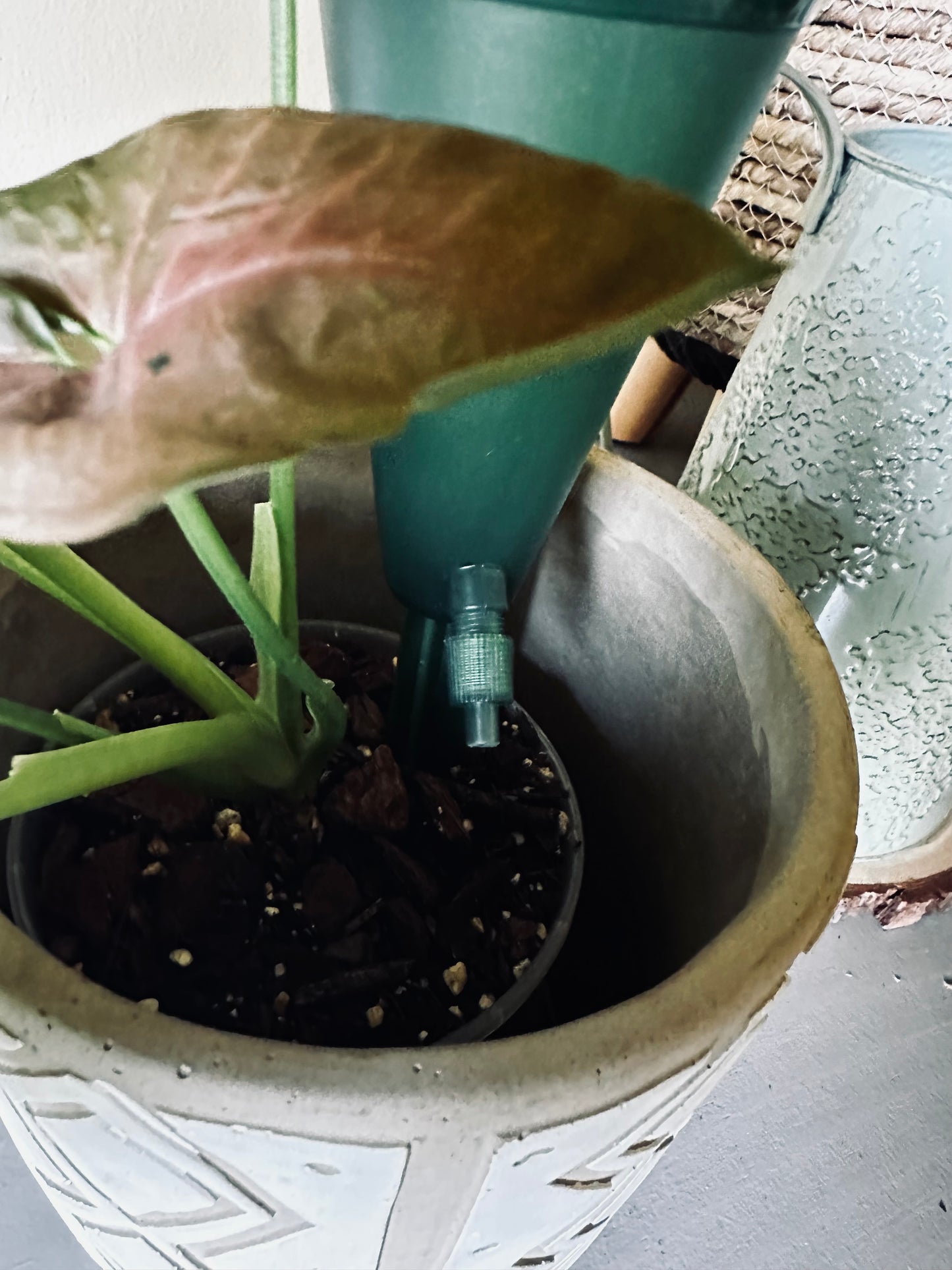 Self Watering Pod with Dripper