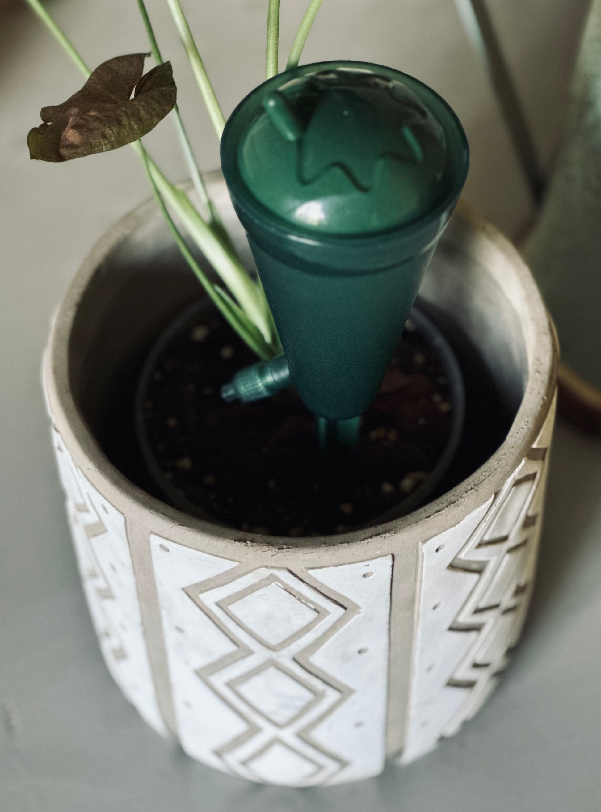 Self Watering Pod with Dripper – Just Unfurled