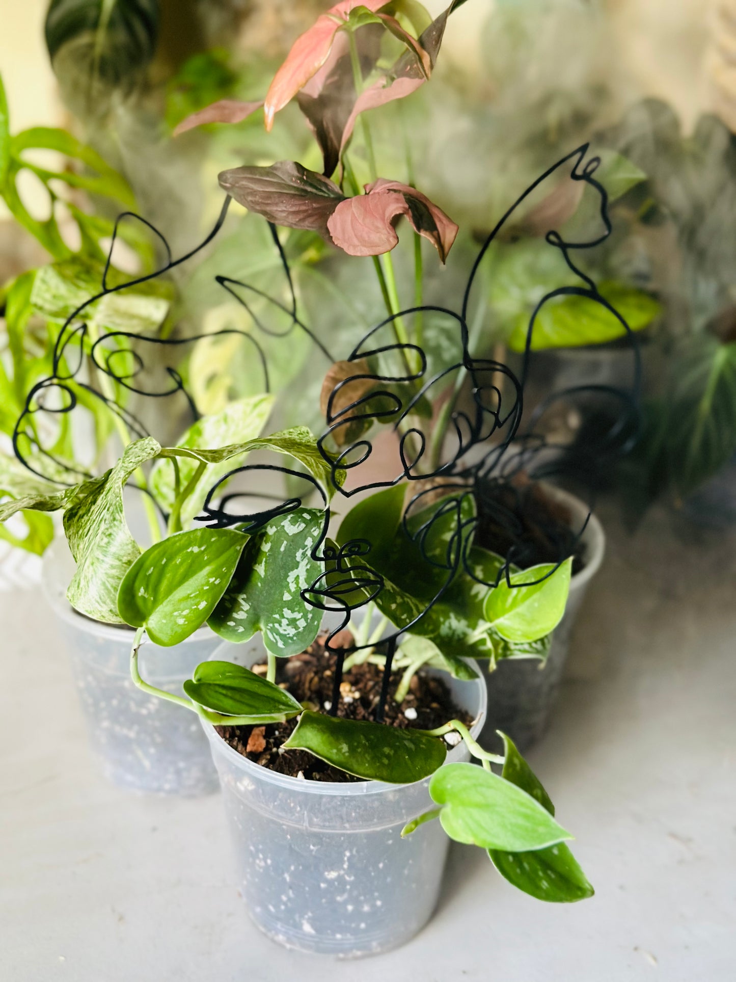 Decorative Trellis 'Lady Monstera' - Black Metal